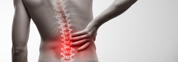 Chiropractic Brookfield WI MLS Laser Therapy Chiropractic Brookfield WI MLS Laser Therapy
