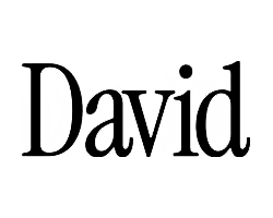 David Logo